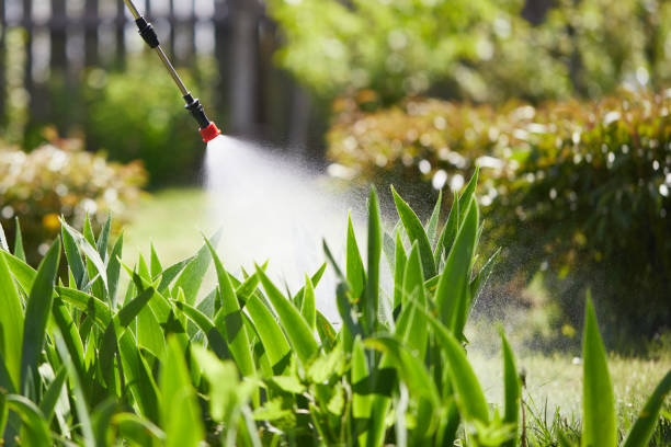 24/7 Emergency Termite Control experts in Brodhead, KY